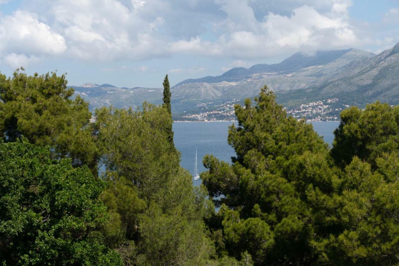 Mary Ann Apartment 2 Cavtat Eksteriør bilde